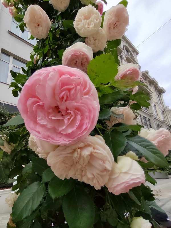 https://i.postimg.cc/nz22dNr7/49-IMG-20250706-155700.jpg