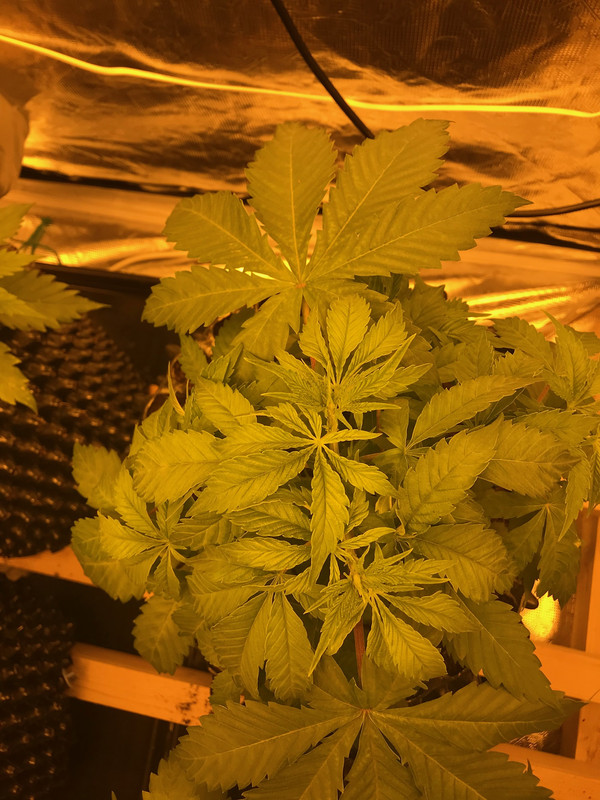 8EA6AC67-1548-463B-80AD-9D888DF7B0D0