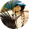 cheetah-icon.png