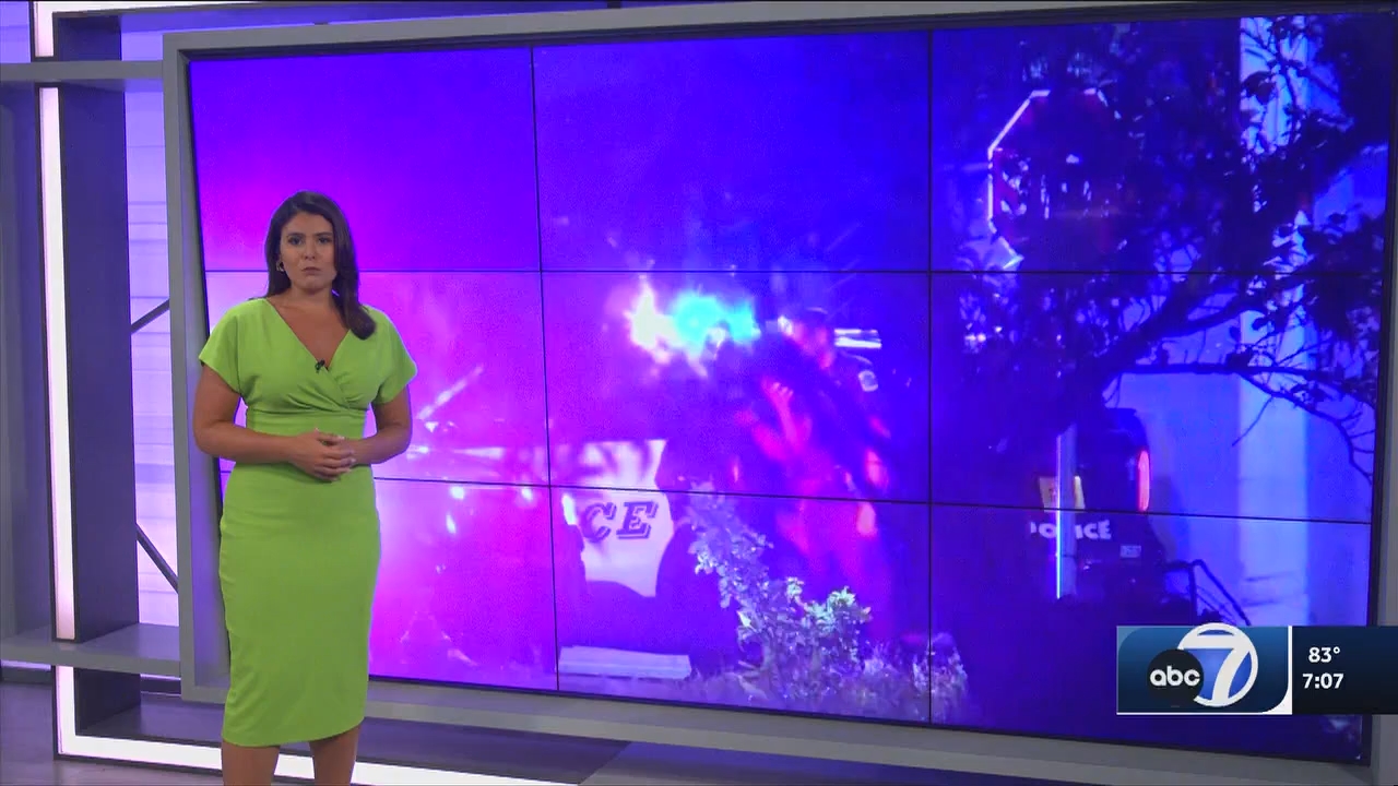 06.13 - 00.00.00 - ABC7 7O'Clock News  ᴺᵉʷ. No Description Info.ts_snapshot_09.13.184