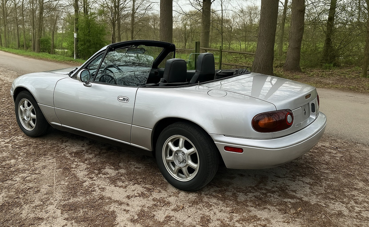 [Image: mx5-HSgris2.jpg]