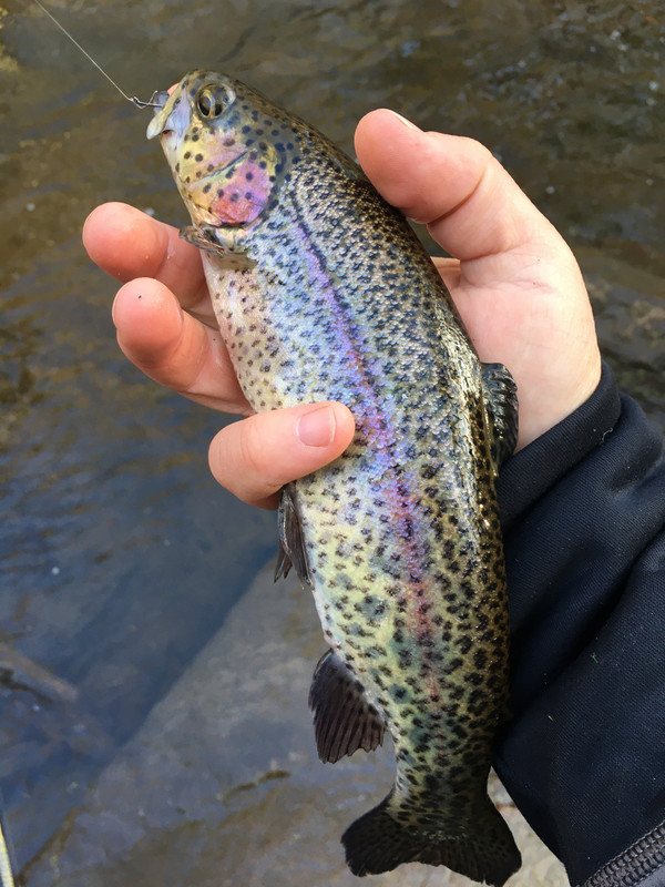 6B9705E9-6695-4C3E-BBAD-1E53C581A77F