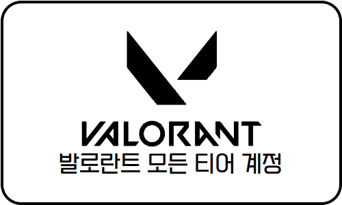 발로란트 정보변경가능 티어별 계정