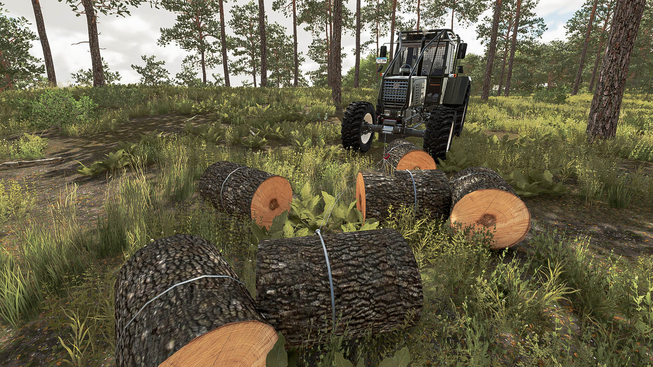 Mod Image 5