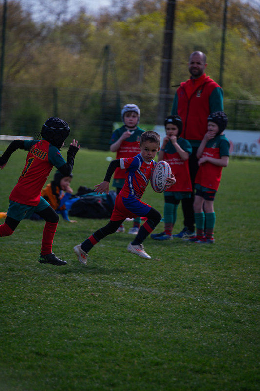 tournoi-de-latlantique-2026-adonis-griffon-73-55181693530-l