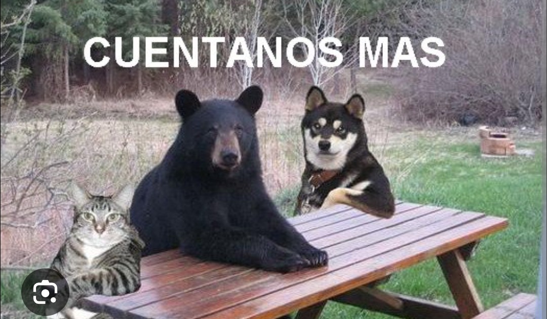 Screenshot_20250922-132216~2