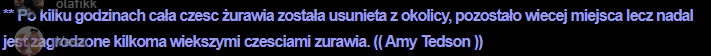 z7.png