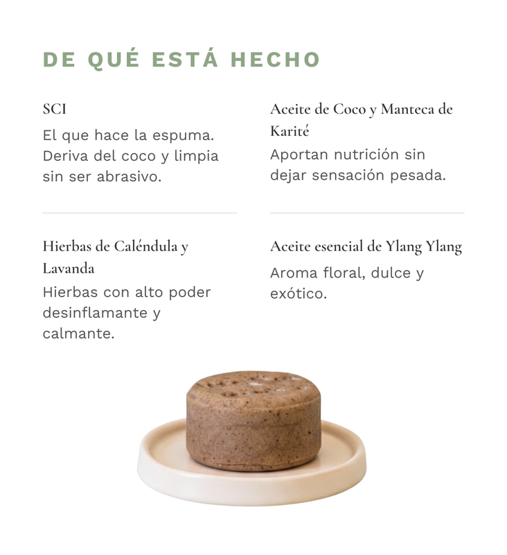 De qu&eacute; est&aacute; hecho &mdash; Shampoo S&oacute;lido Normal