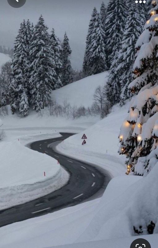 Screenshot_20231009_220130_Pinterest