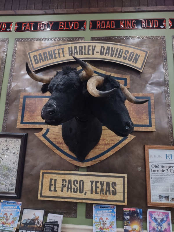 IMG_20250403_124655502_HDR