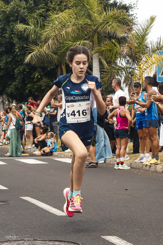 Canary-Run 121