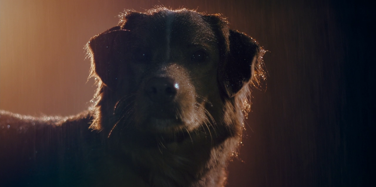 vlcsnap 2026 01 25 16h13m37s598