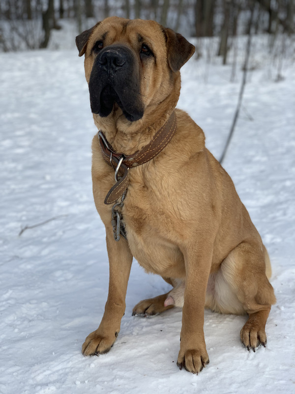 5228D6A7-18EB-4474-BE16-96799129D2DB