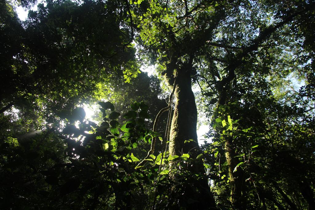 DIA 3: CANALES, COLINAS Y TORTUGAS - DE TORTUGAS Y PEREZOSOS. COSTA RICA 2019 (47)