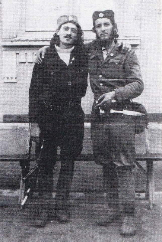 [Слика: 50414405-2000530356703226-2736336875601002496-n.jpg]