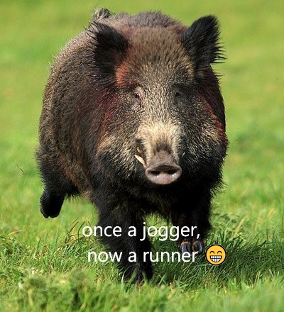 plex_wp_edited_image(5)