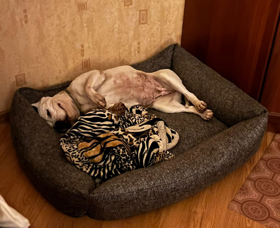 01436343-BFF3-45DF-B77E-A222F858C4A5