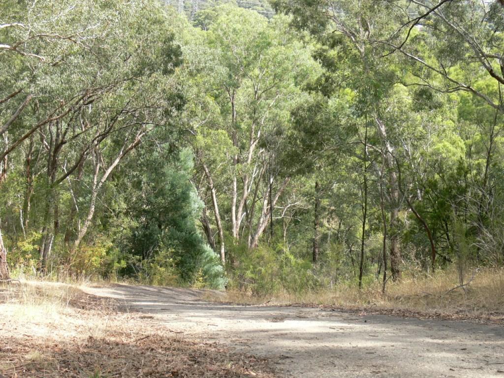 2021-Templestowe-HC-The-Wall-looking-bac