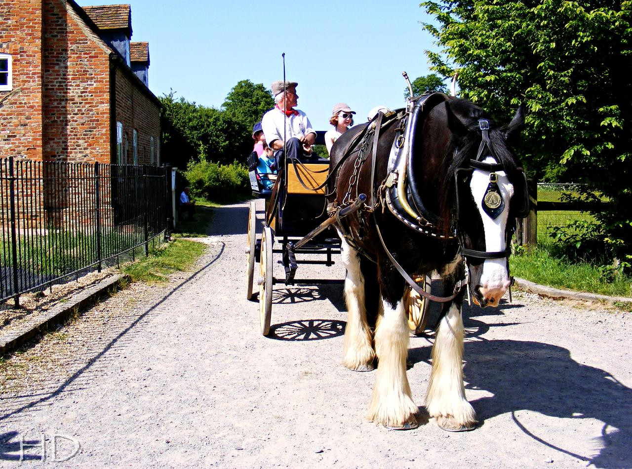 Horse-cart-chilt-museum-HD.jpg