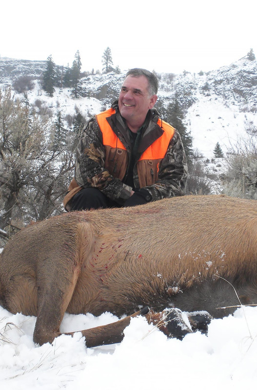 Guy-Minder-Cow-Elk-2500 crop