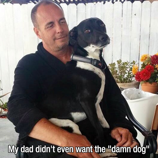 mans-best-friend-21