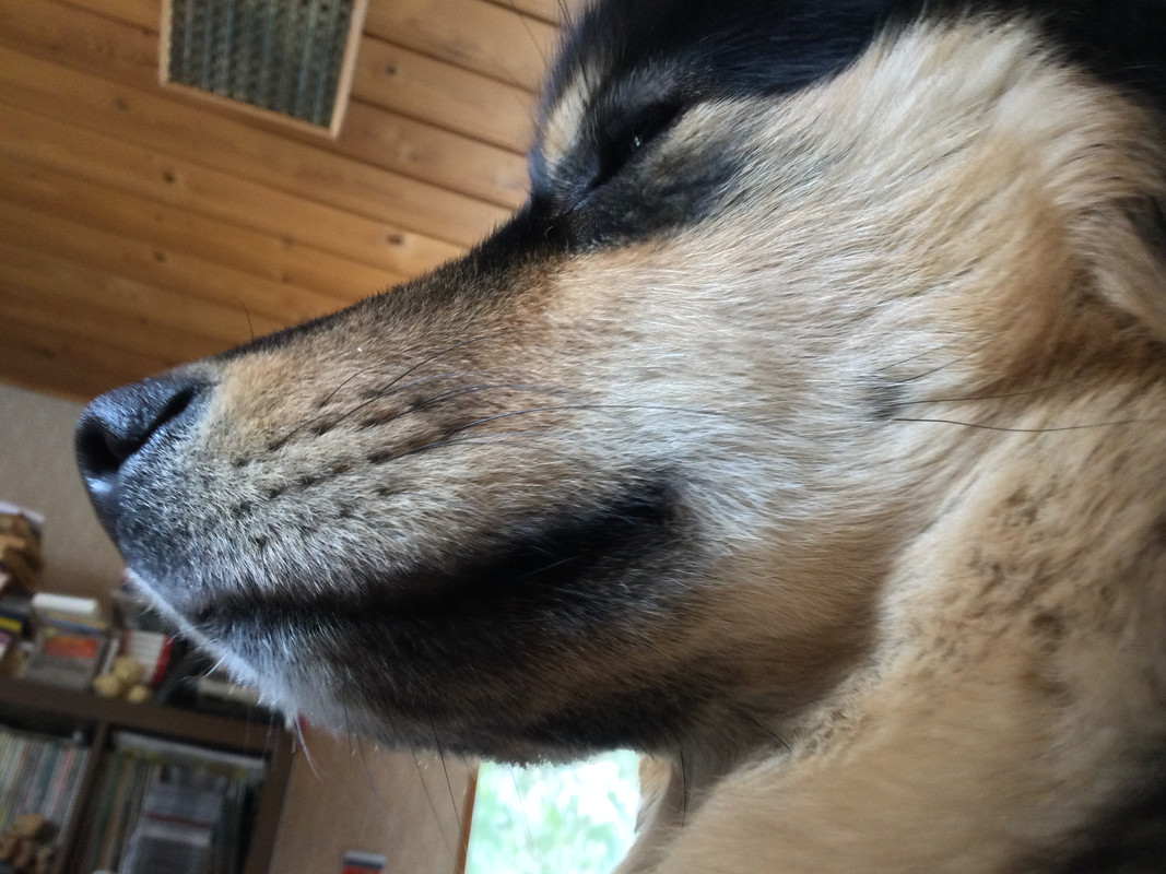 EC3190A8-6F2D-4182-9151-3125DC6EA6D8