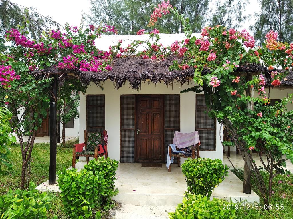 IMG_20191205_065557_1