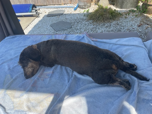 [Image: IMG-4169.jpg]