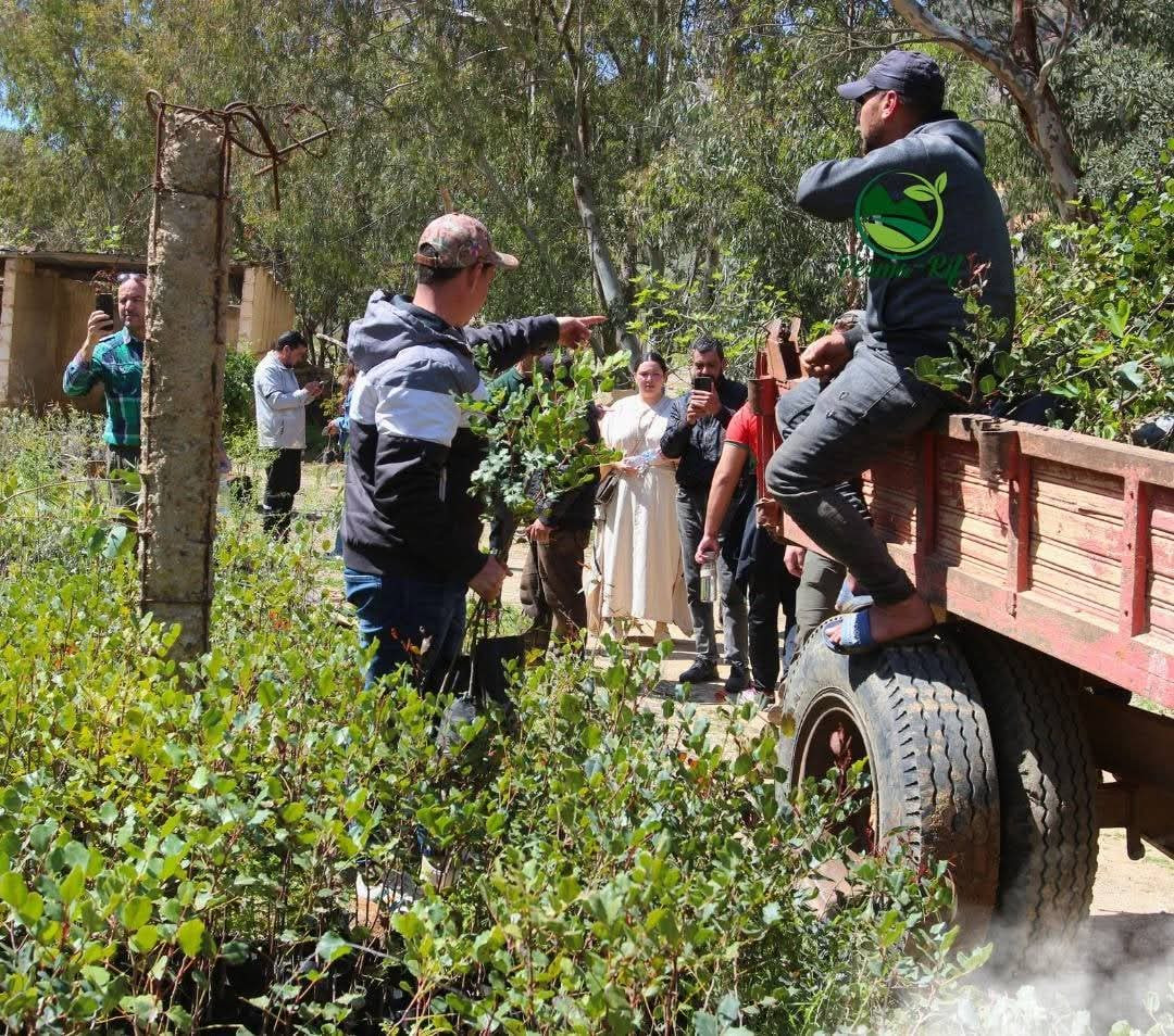 3b73bf5319edd38150bf3ce01e7bac3d