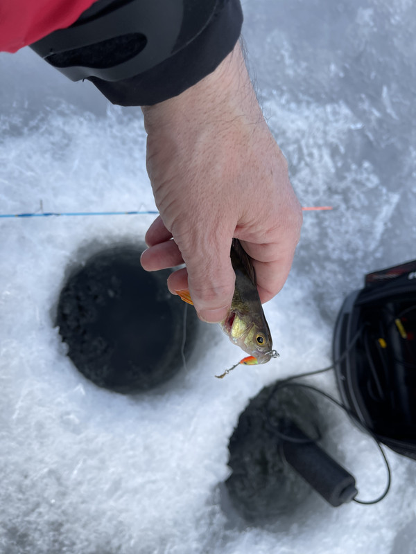 D910E81A-0B88-49E3-943B-124AECEF9326