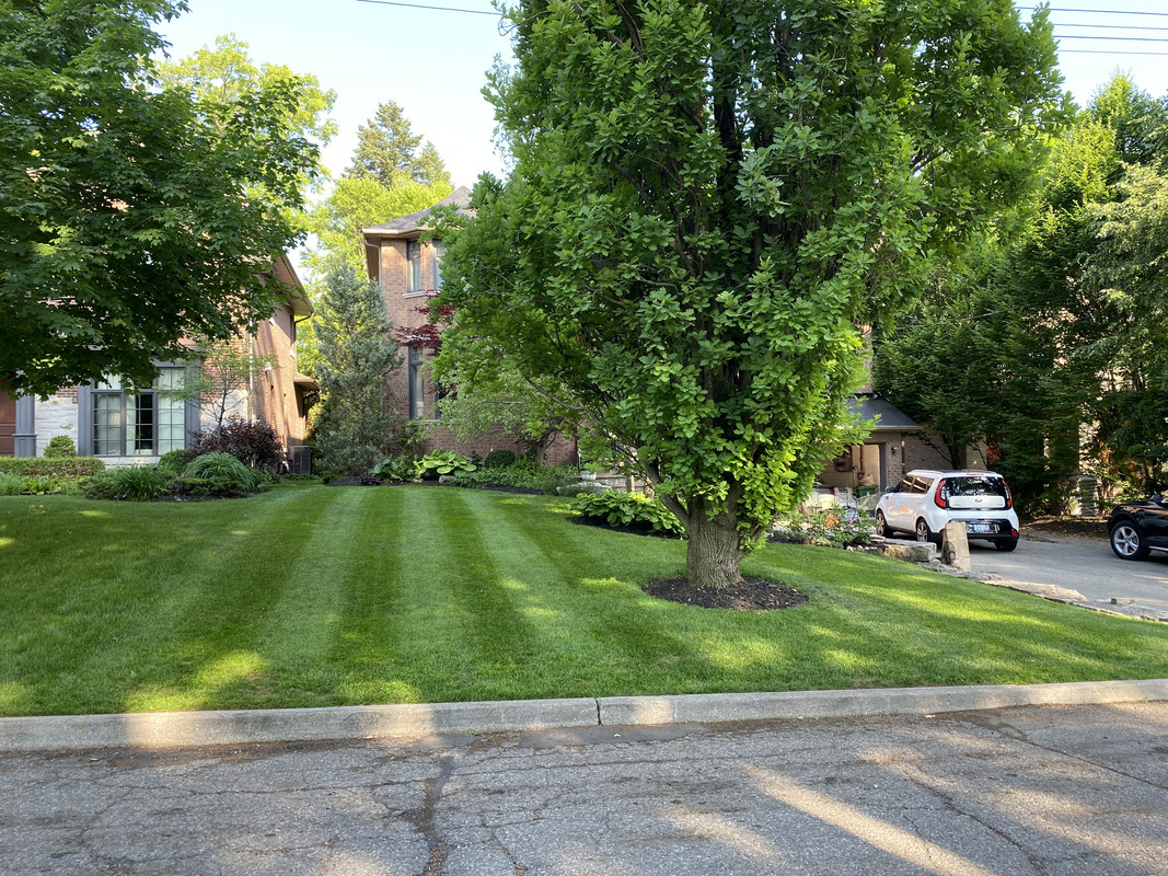 1C65BD38-B9D9-480E-9216-0D81CA78988B