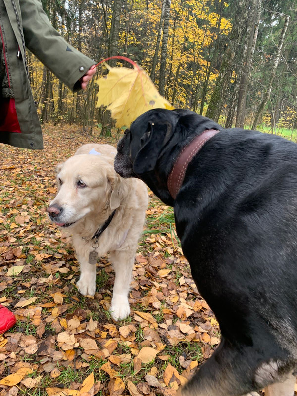 B7BFAABB-3996-4A46-935B-4BEC7866E0CA