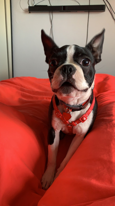 6174A3B9-210E-47F6-8B46-79788DE92A2B