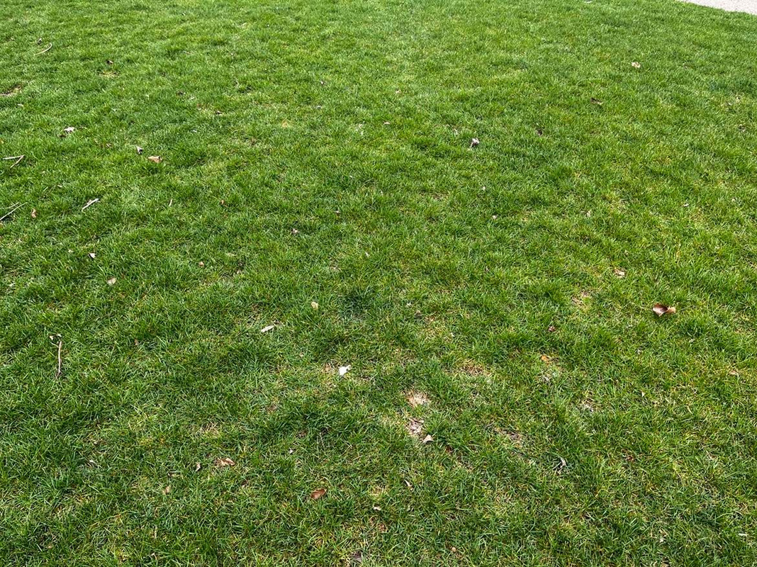 277780019_363205378917863_8043321683205488643_n