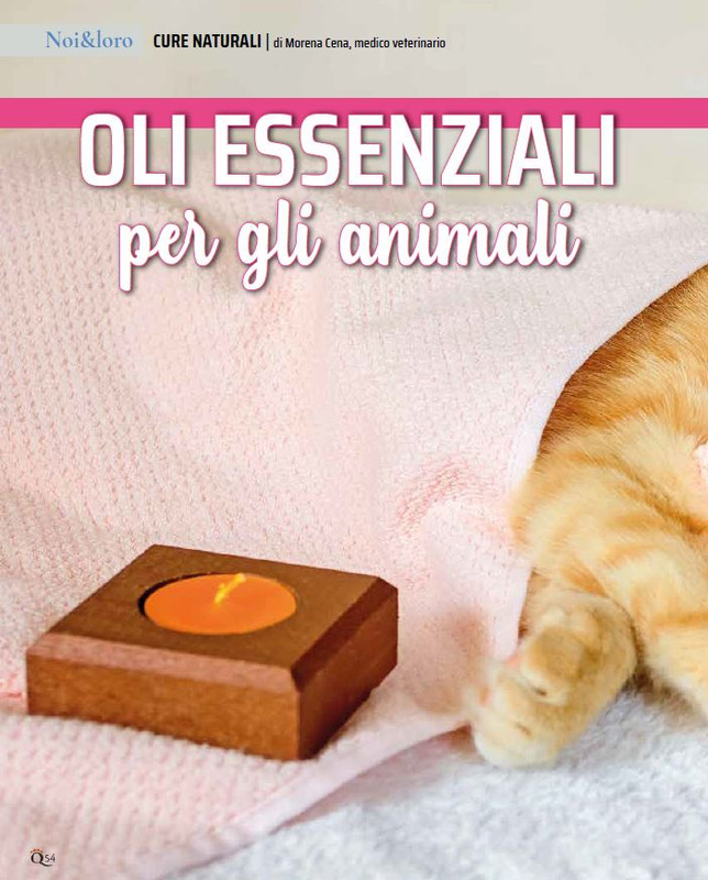 QuattroZampe Dic 2022-Gen 2023 (5)