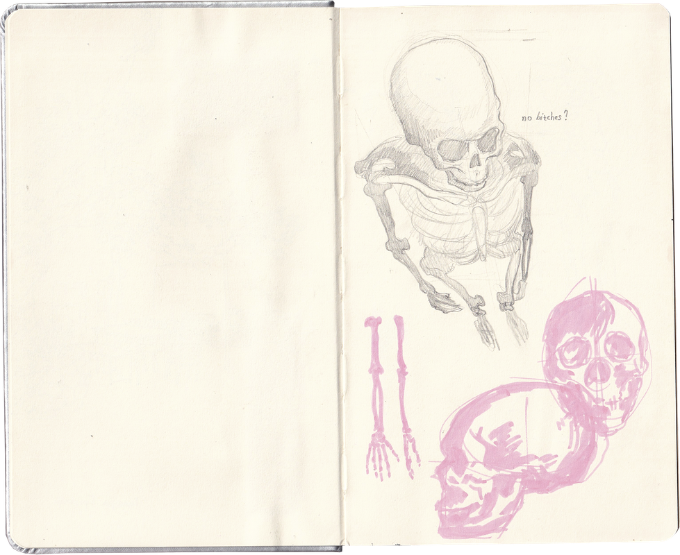 sketchbook-stribrny-02.png