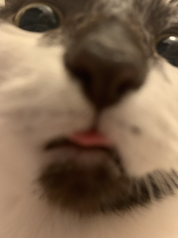 FFB1F142-B5BB-4170-8D74-7AD454C82A37