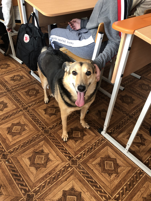 B87C395D-B29C-4A95-B7CA-30127473422E