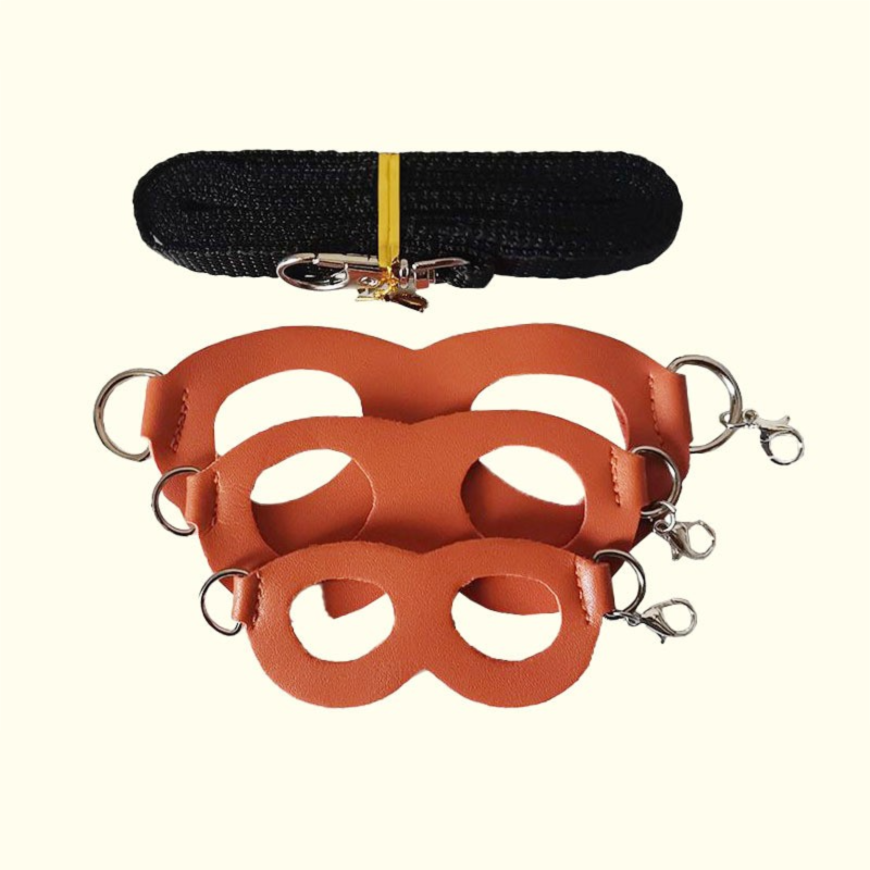 2-Pack Orange Small Mammal Harness Set – 6 Pcs (S/M/L ×2) + 2×1.5m Leashes for Secure Outdoor Handling