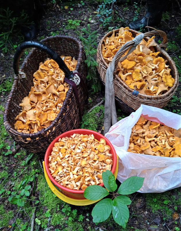 8JDhs5dpre0lWAULKGGbzWnvgSMRshZG18FaD0KatEtTtBdp61gKmkQ6NS48NhnAwV4KD33YWQGGUQOZRcvOaoml