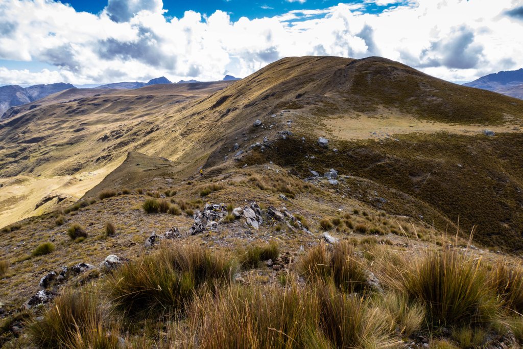https://i.postimg.cc/nz75pT65/Image01359.jpg