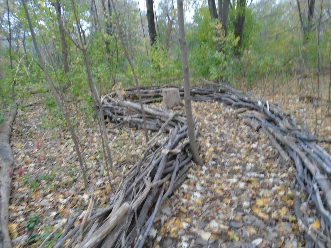 DSC00260.jpg