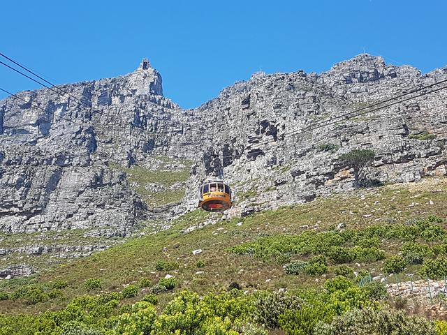 DÍA 4: CAPE TOWN - Sudáfrica y Seychelles 2018 - Una Honeymoon llena de vida (1)