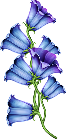 KBK_InTheSpring (91)