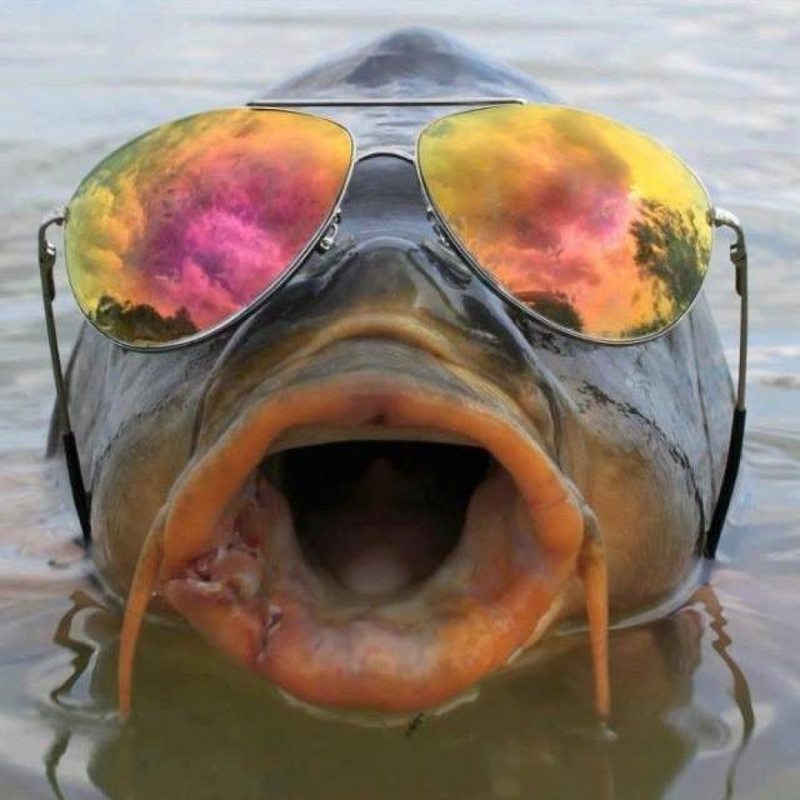 1485037102JfzoAsXqgf