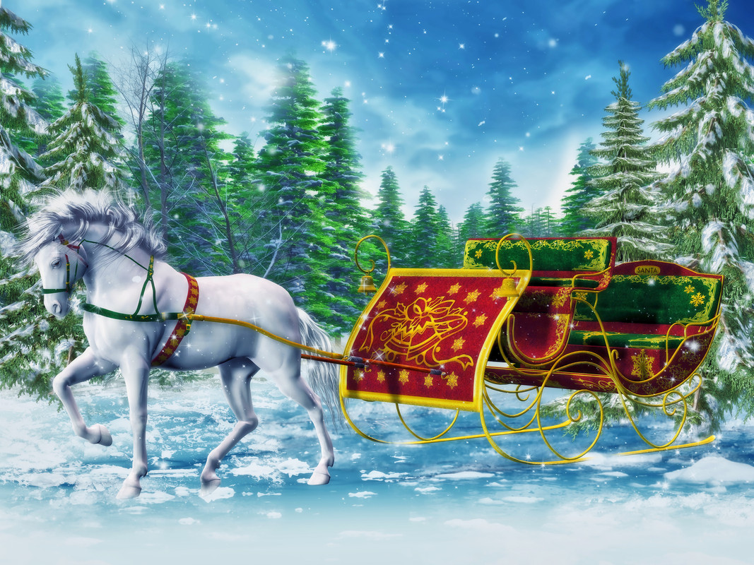 99px_ru_wallpaper_160886_zaprjajennaja_belaja_loshad_v_sani