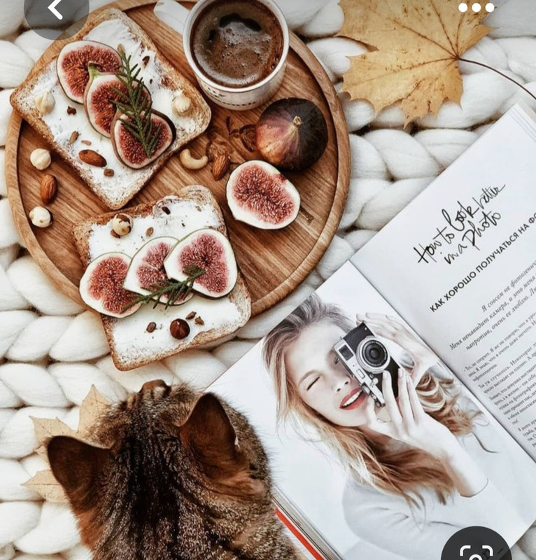 Screenshot_20230426_222514_Pinterest