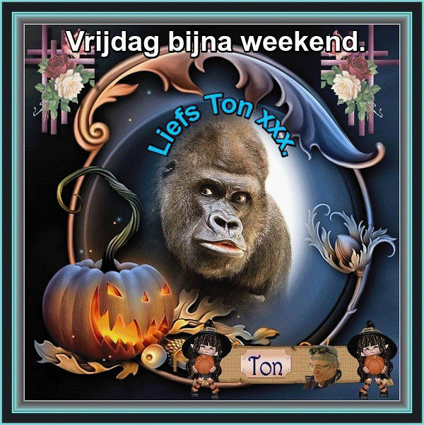 www.krabbelplaatjes.com