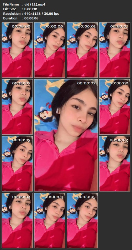 vid (11).mp4
