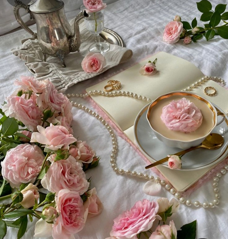 Screenshot_20240206_184423_Pinterest